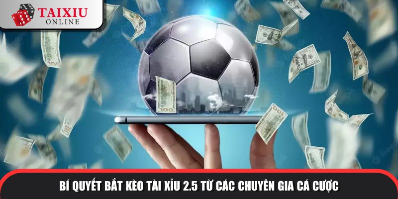 bi quyet bat keo tai xiu 2 5 821 Mẹo bắt kèo hay