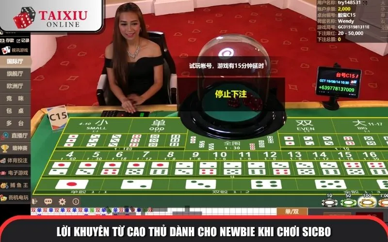 loi khuyen tu cao thu danh cho newbie khi choi sicbo 1299 Lời khuyên từ cao thủ dành cho newbie khi chơi sicbo
